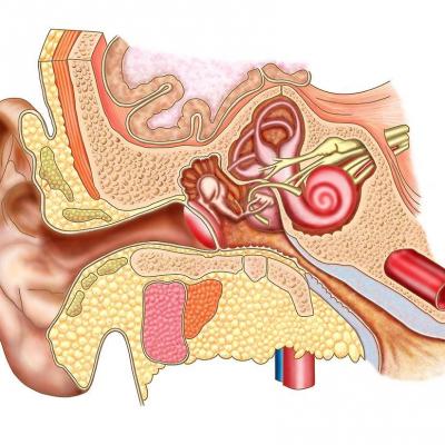 oreille psychosomatique