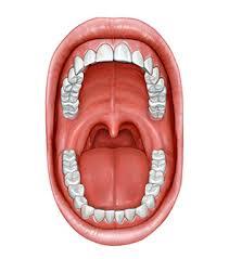 bouche psychosomatique