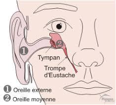 Trompes eustache